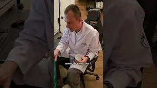 Pode dar óleo de coco pro cachorro? 