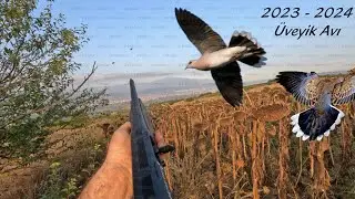 2023 - 2024 En İyi Üveyik Avı / Dove Huntıng / Hunter / Stiefpa Jag / Отчим Хант / هانت زوج الأم