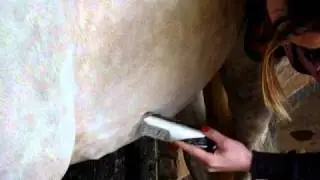 www.Masterclip.co.uk - Royale medium duty horse clipper with German Blades
