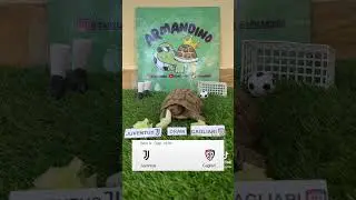 ⚫️JUVENTUS VS CAGLIARI🔴 #calcio #turtle #fantacalcio #seriea #juventus #cagliari #highlights