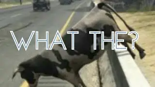 Grand Theft Auto V funny cow glitch