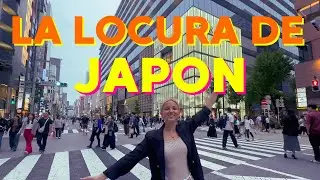 Te muestro TODO de TOKIO JAPON