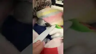 Банный день Жако Бендера Громова. Маникюр.