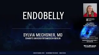 Endo Belly, what is it? - Sylvia Mechsner, MD