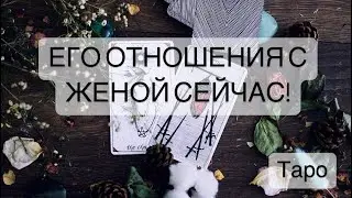 ОН и ЖЕНА=ЧТО МЕЖДУ НИМИ?  
