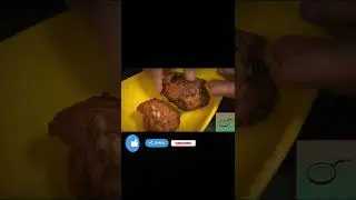 Dahika tukra ll দহিকা টুকরা 