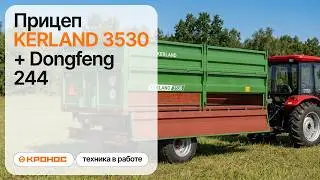 Обзор: Мини-трактор Dongfeng 244 с прицепом Kerland 3530 в работе