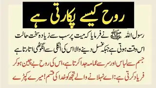 Rooh Kaise Pukarti Hai | روح کیسے پکارتی ہے