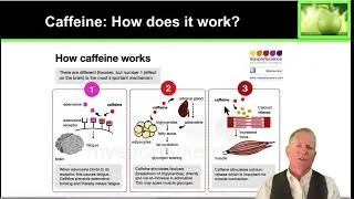 How Caffeine Works Fast Facts for Athletes