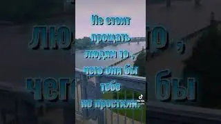 Цитаты со смыслом про жизнь. Красивое видео для сторис в инстаграм. Видеооткрытка