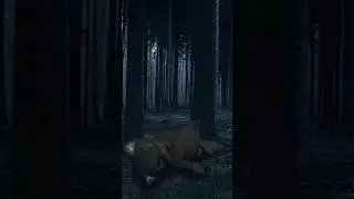 Cat Simulator Animal Life|КЛИП|
