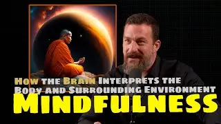 How the Brain Interprets the Body & Surrounding Environment / Mindfulness | Andrew Huberman