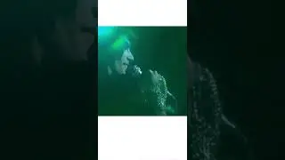 Freddie Mercury’s claws