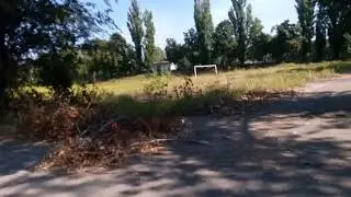 Лес