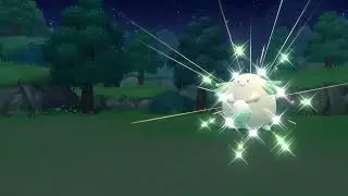 Random Shiny Chansey while complete the pokedex (Pokemon BDSP)