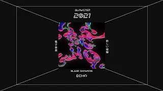 blake skowron - Echo