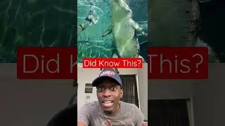 THIS ANIMAL IS BIGGER THAN WE THOUGHT!!😱 