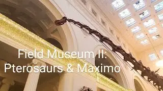 Field Museum II   Pterosaurs and Maximo