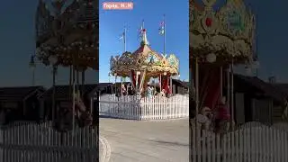 Собачки на прогулке  #katylu #nizhnynovgorod