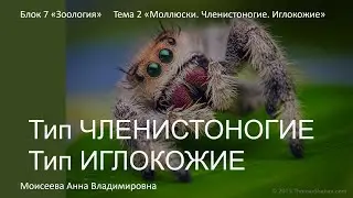 Зоология Тема 2 "Членистоногие"