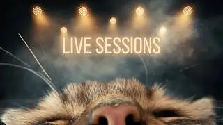 Live Sessions // 14th Feb 2026 // Speakeasy presents