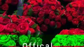 Да канали мо обуна шавед 👍🙏