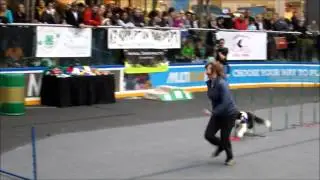 Dogapalooza 2012