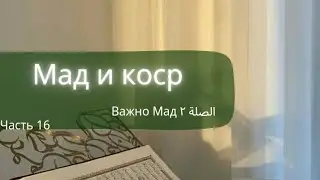 два момента в Куране