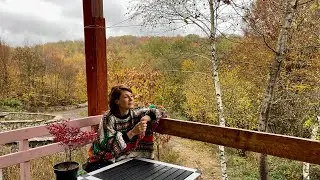 We lived in Mykolaiv, now in the forest...our journey.
