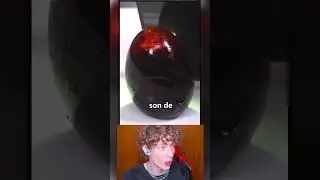 SON RICOS LOS HUEVOS NEGROS❓👀🤔