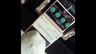 Boss Digital Delay DD-3 Stutter Glitch Effect!