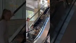 Гордею 7 лет
