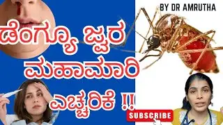 ಡೆಂಗ್ಯೂ: ಲಕ್ಷಣಗಳು, ಚಿಕಿತ್ಸೆ ಮತ್ತು ತಡೆಗಟ್ಟುವ ಕ್ರಮ  / Dengue: Symptoms, Prevention and control