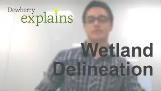 What is Wetland Delineation?