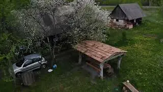 Беловежская пуща в мае 2022 г