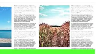 Web Export for Adobe XD Examples Package I