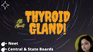 Thyroid gland and its hormones, Functions & Regulations in English! Hindi! by Heena Mam