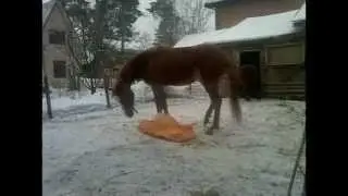 Арианда