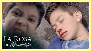 Bernie se vuelve agresivo por culpa de sus hermanos | La Rosa de Guadalupe 1/4 | Un mundo de fieras