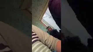 эбонитовая палочка 1