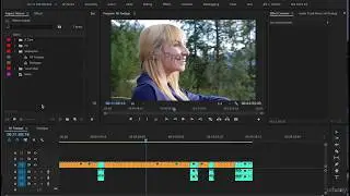 Adobe Premiere Pro CC Complete A Video Editing Project 11