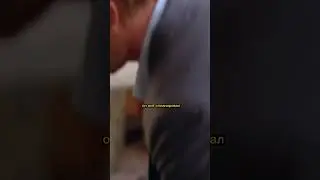 Она попалась