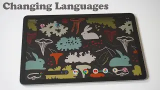 How To Change System Language On Google Pixel Tablet