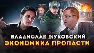 Владислав Жуковский. Экономика пропасти