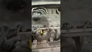 Так стучит двигатель ваших Киа 
