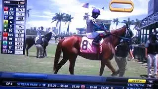 fast pace last race angle