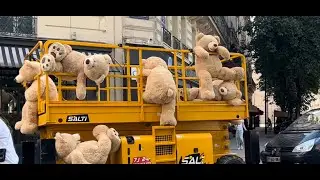 🐻🐻🐻