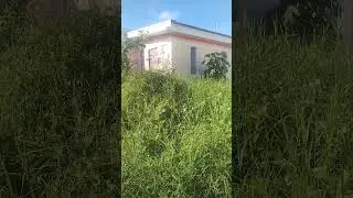 Need for Grass cut the Garden of my costumer