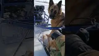 бурлак 15 лс