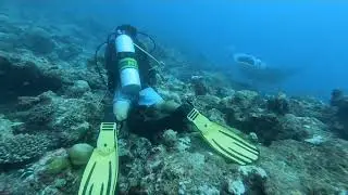 С Восток Амфибия на южных морях